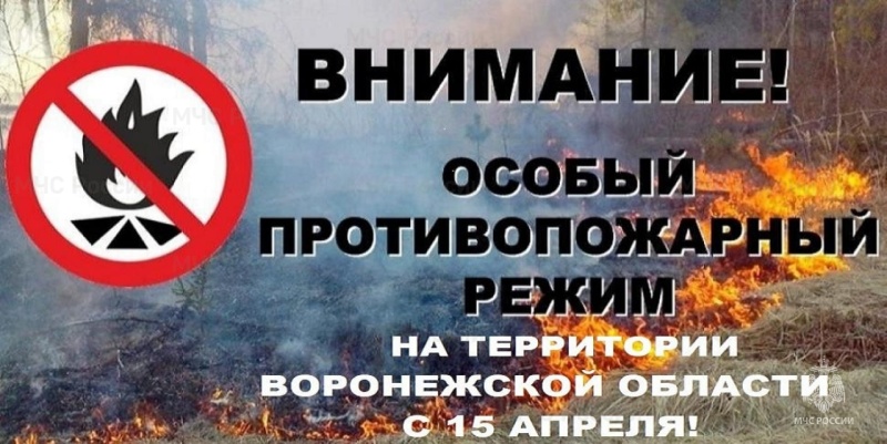 С 15 апреля на территории Воронежской облacти введен особый противопожарный режим.