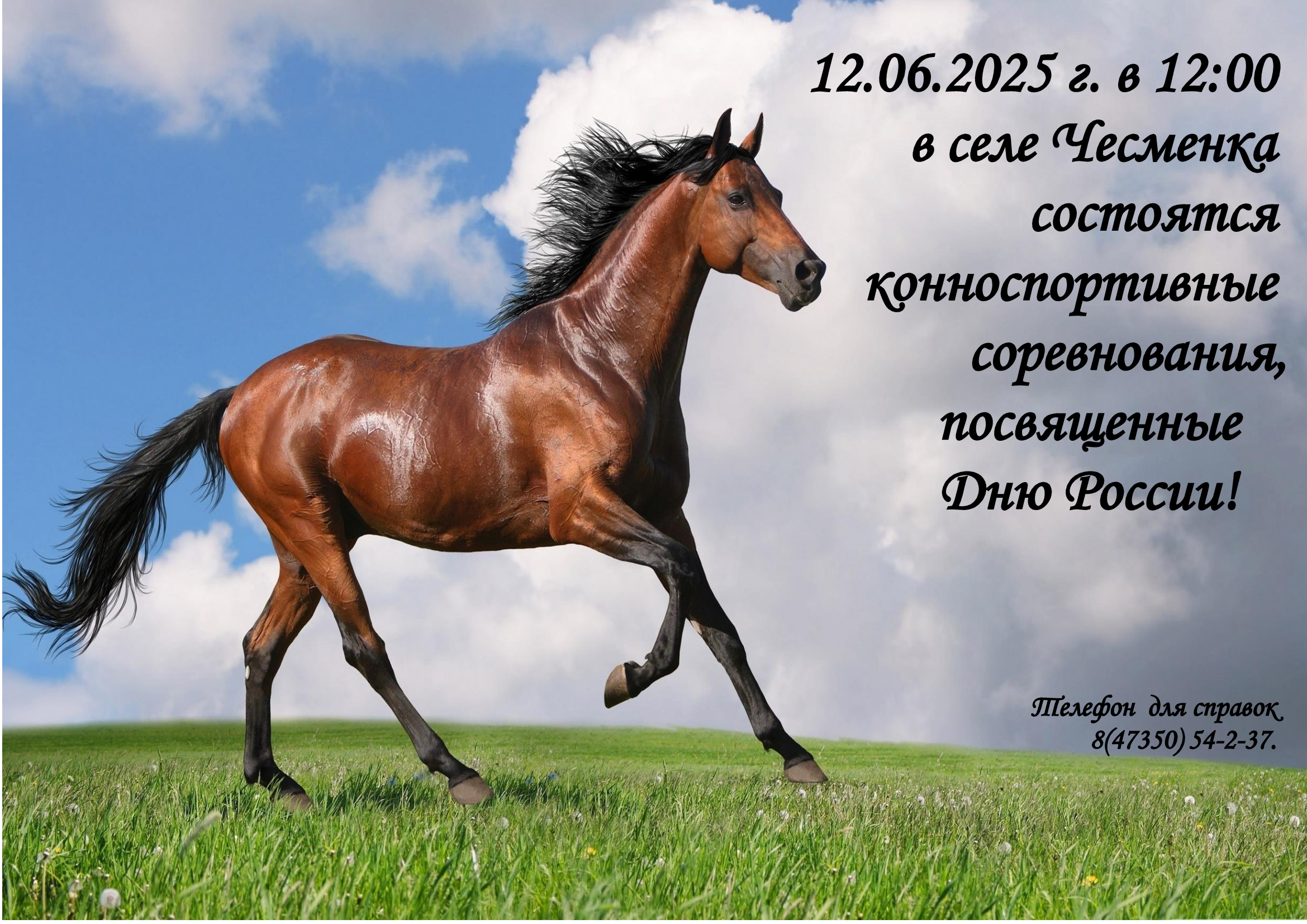 12.06.2025 г. в 12:00.