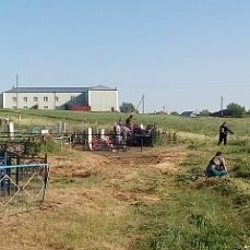 Субботник на Юдановском сельском кладбище. Субботник на Юдановском сельском кладбище.